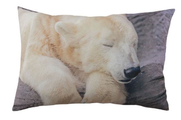 COUSSIN 45x30 cm