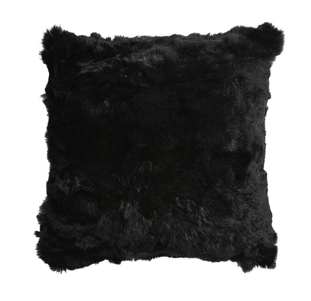 ECOT1010431-NOIR-01