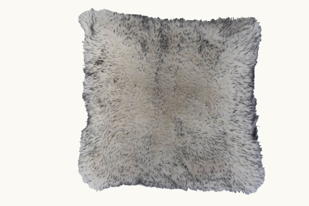 ECOT1010559-GRIS-01