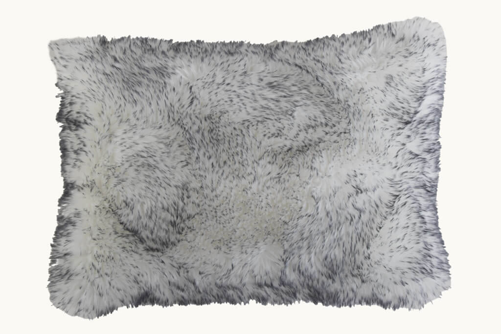 ECOT6160559-GRIS-01